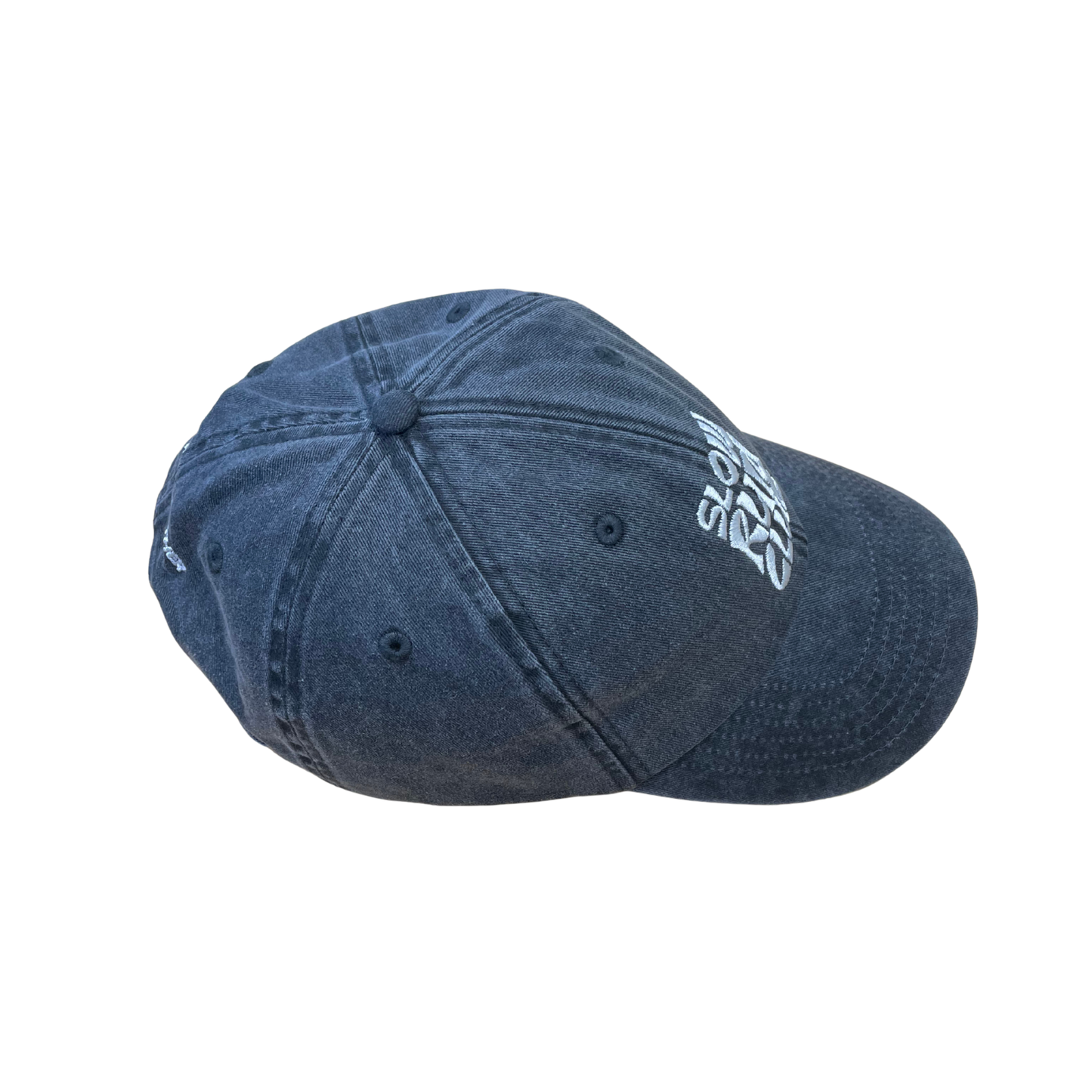 We Run Together Cap